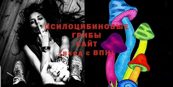 спиды Осинники