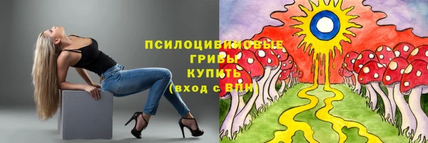 спиды Осинники
